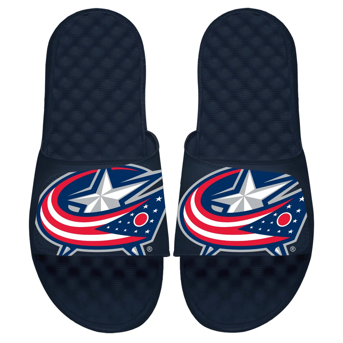 Columbus Blue Jackets Blown Up Slides